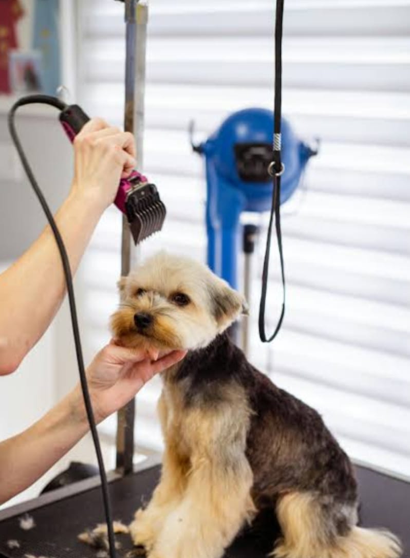 WhatsApp Image 2025-08-29 at 15.59.04 (1).jpeg